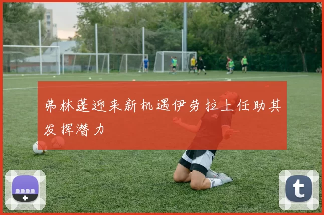 弗林蓬迎来新机遇伊劳拉上任助其发挥潜力