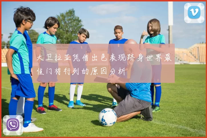 大卫拉亚凭借出色表现跻身世界最佳门将行列的原因分析