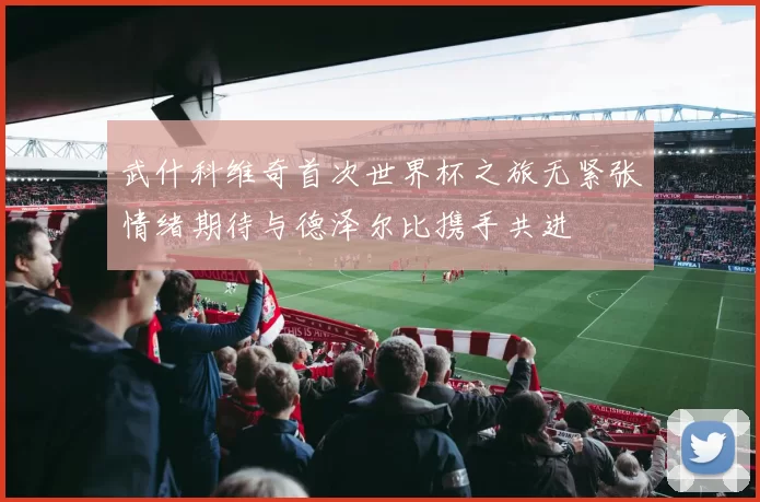 武什科维奇首次世界杯之旅无紧张情绪期待与德泽尔比携手共进